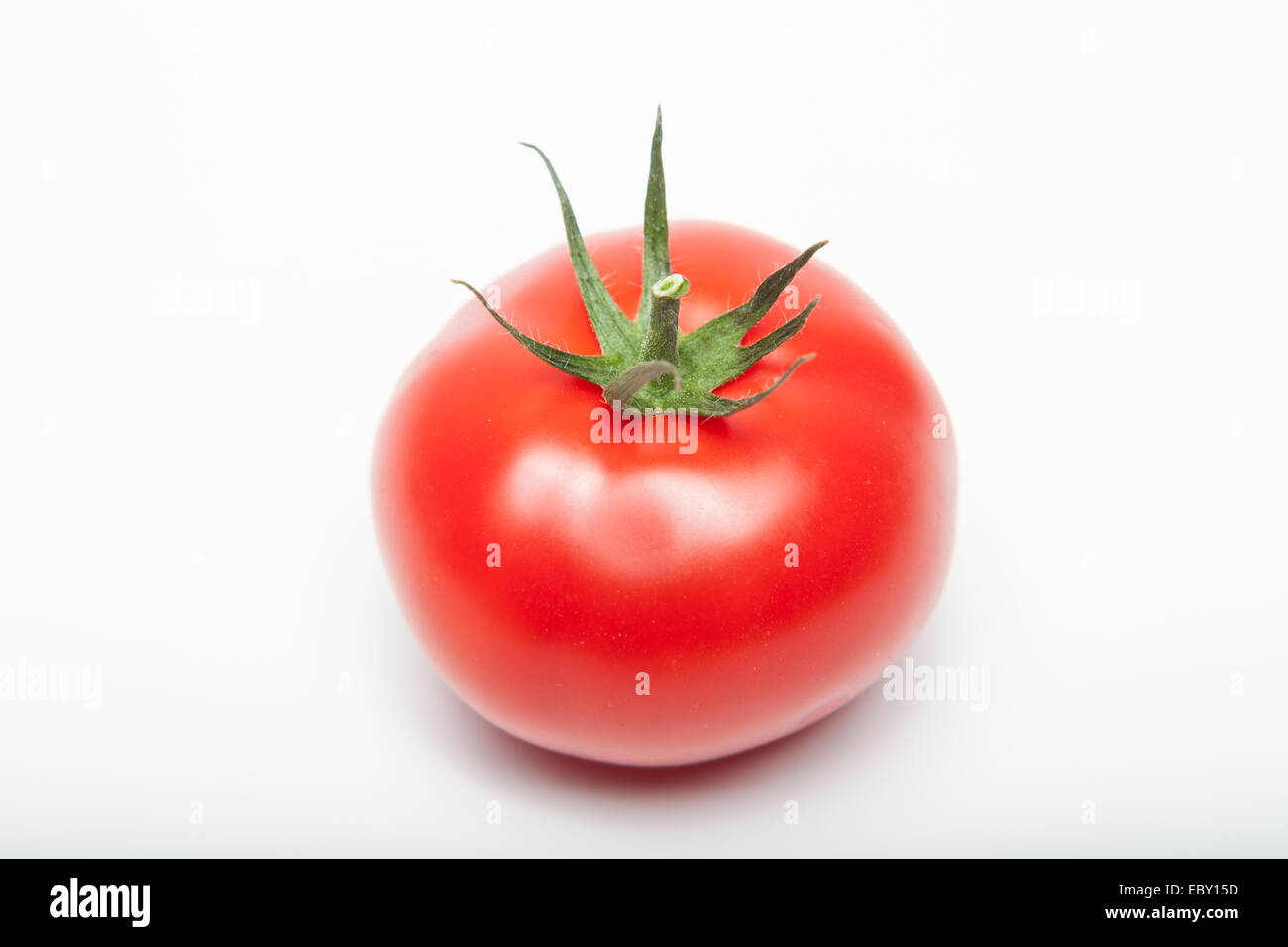 Pomodoro unico su sfondo bianco Foto Stock