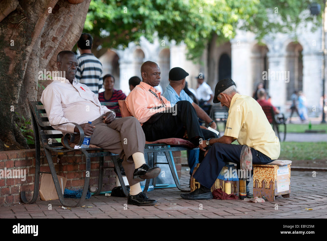 Dominikanische Republik, Santo Domingo, Zona Colonial, Zona Colonial, Parque Colon Schuputzer Foto Stock