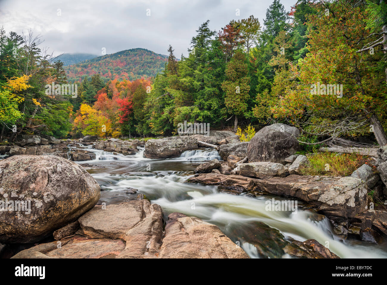 Il ramo ovest Ausable fiume vicino a Wilmington, Essex Co., NY Foto Stock