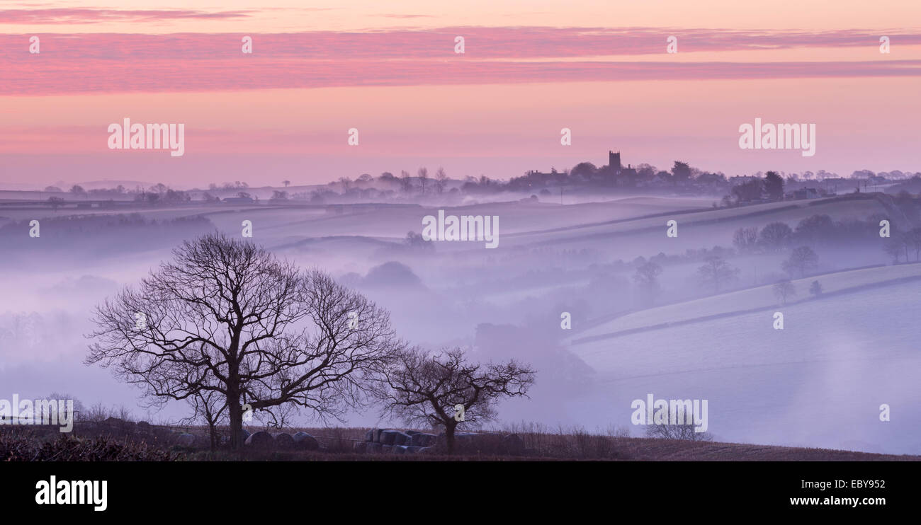Nebbia avvolta campagna guardando verso il villaggio di Morchard Vescovo, Devon, Inghilterra. Inverno (Marzo) 2014. Foto Stock