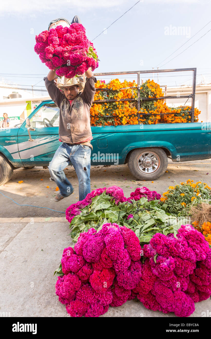 I fornitori massiccia di scarico delle pile di fiori utilizzare per decorare le tombe per il Giorno dei Morti festival noto in spagnolo come d'un de Muertos presso il Mercato di Benito Juarez di Oaxaca, Messico. Foto Stock