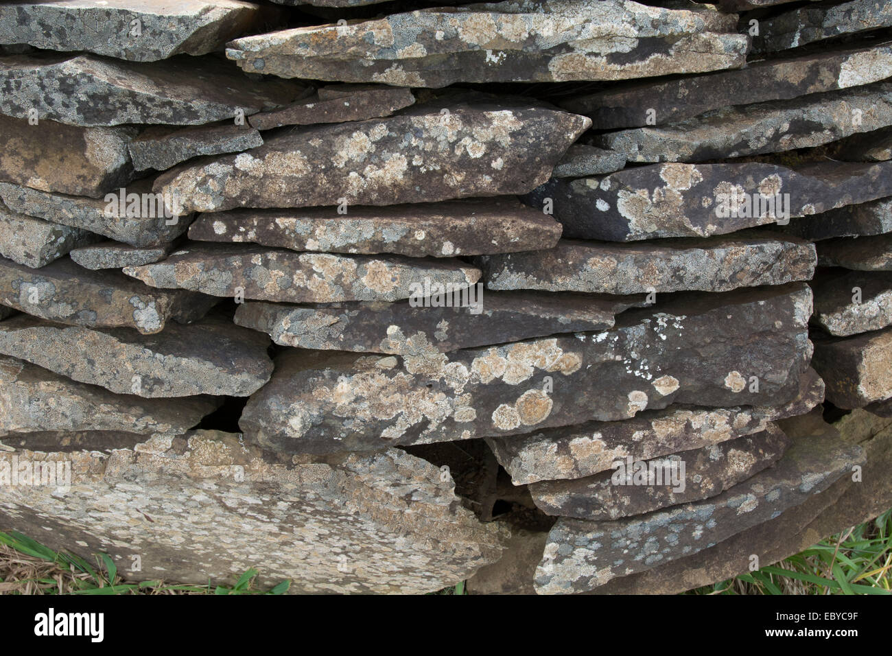 Isola di Pasqua aka Rapa Nui, Orongo, Rapa Nui NP, UNESCO. Ruderi di pietra del villaggio cerimoniale di Orongo, parete di roccia dettaglio. Foto Stock
