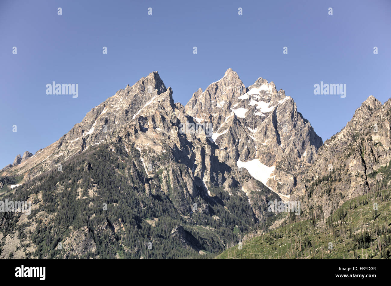 Stati Uniti d'America, Wyoming Grand Teton National Park, Teton gamma Foto Stock