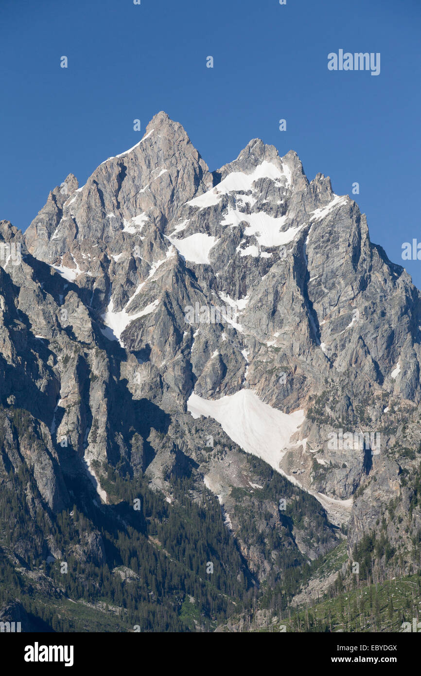 Stati Uniti d'America, Wyoming Grand Teton National Park, Teton Range, il gruppo della cattedrale Foto Stock