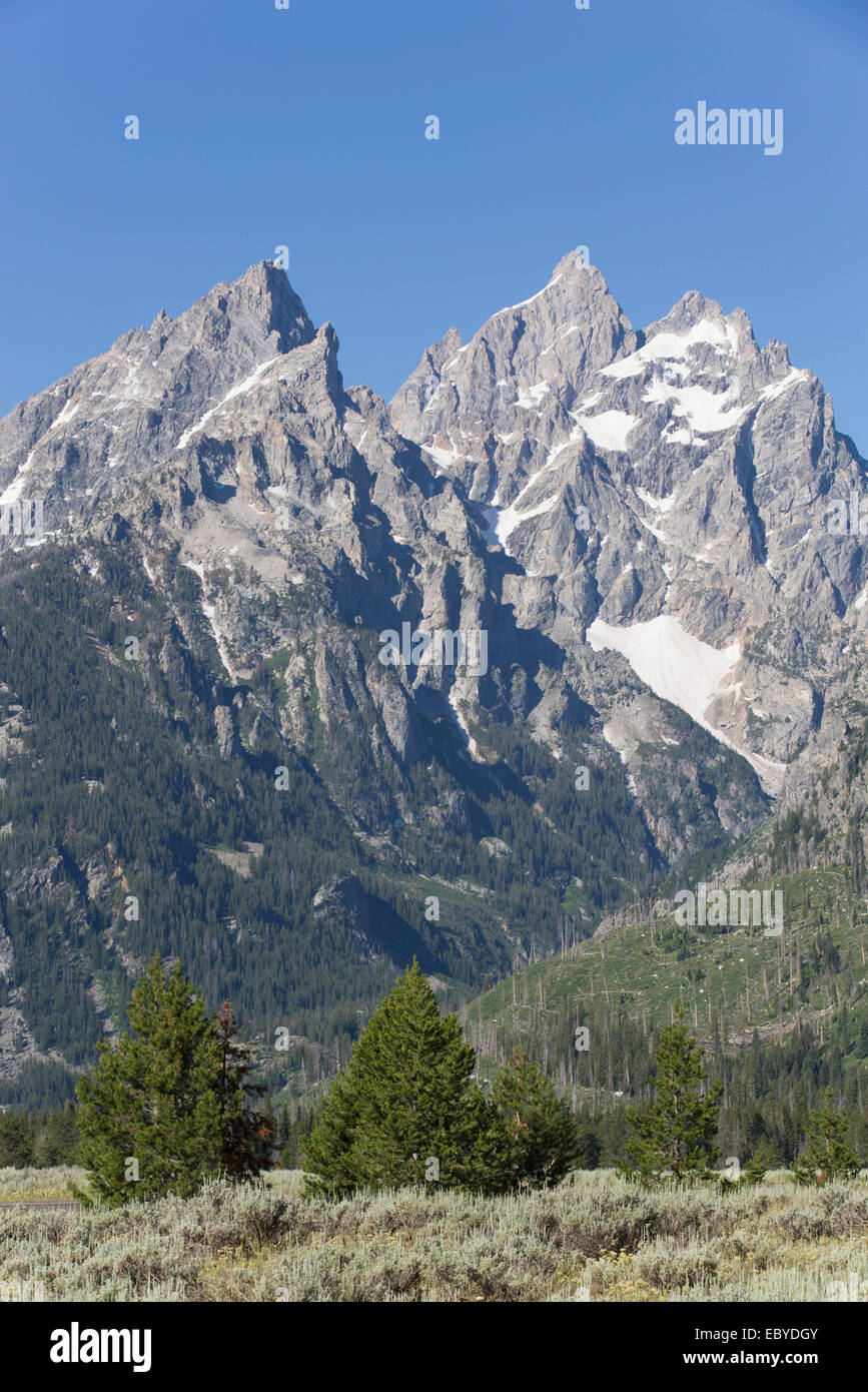 Stati Uniti d'America, Wyoming Grand Teton National Park, Teton Range, il gruppo della cattedrale Foto Stock