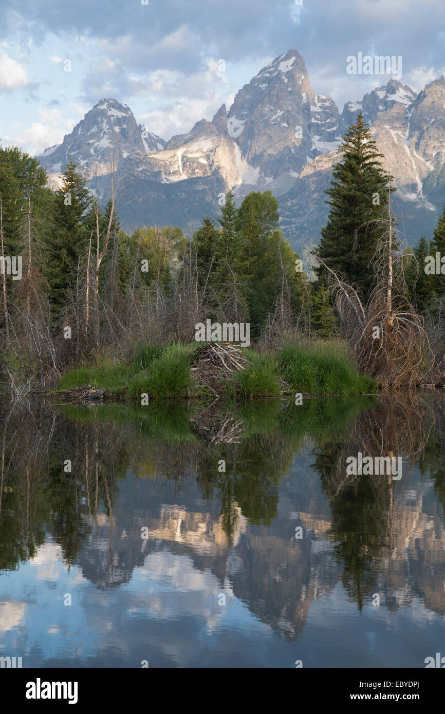 Stati Uniti d'America, Wyoming Grand Teton National Park, acqua riflessioni del Teton Range, Beaver House (in primo piano), presa dalla fine del Foto Stock