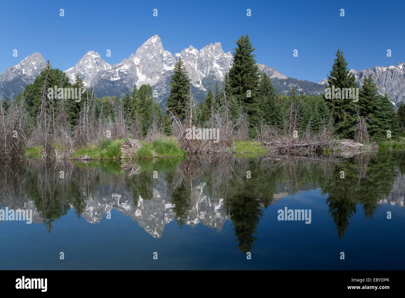 Stati Uniti d'America, Wyoming Grand Teton National Park, acqua riflessioni del Teton Range, Beaver House (in primo piano), presa dalla fine del Foto Stock
