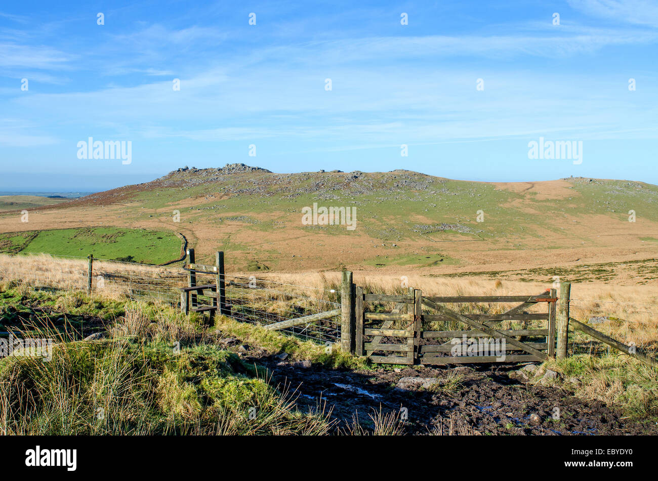 Una vista di Rough Tor su Bodmin Moor in Cornwall, Regno Unito Foto Stock