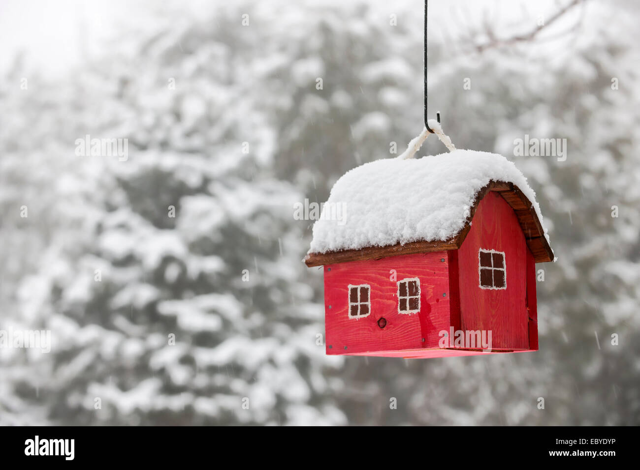Uccello Rosso casa appeso all'aperto in inverno con neve Foto Stock
