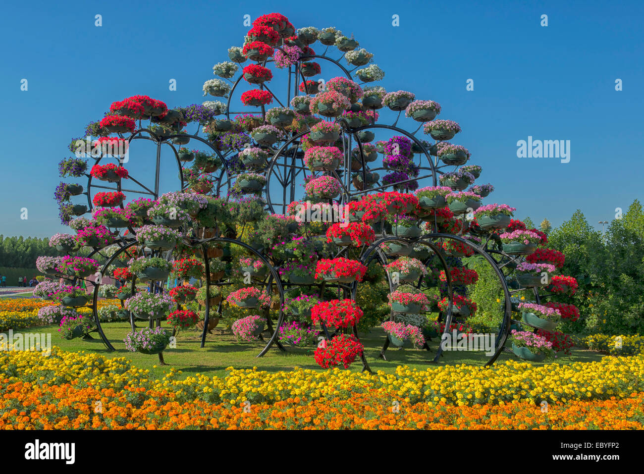 Miracolo giardino in Dubai EMIRATI ARABI UNITI Foto Stock