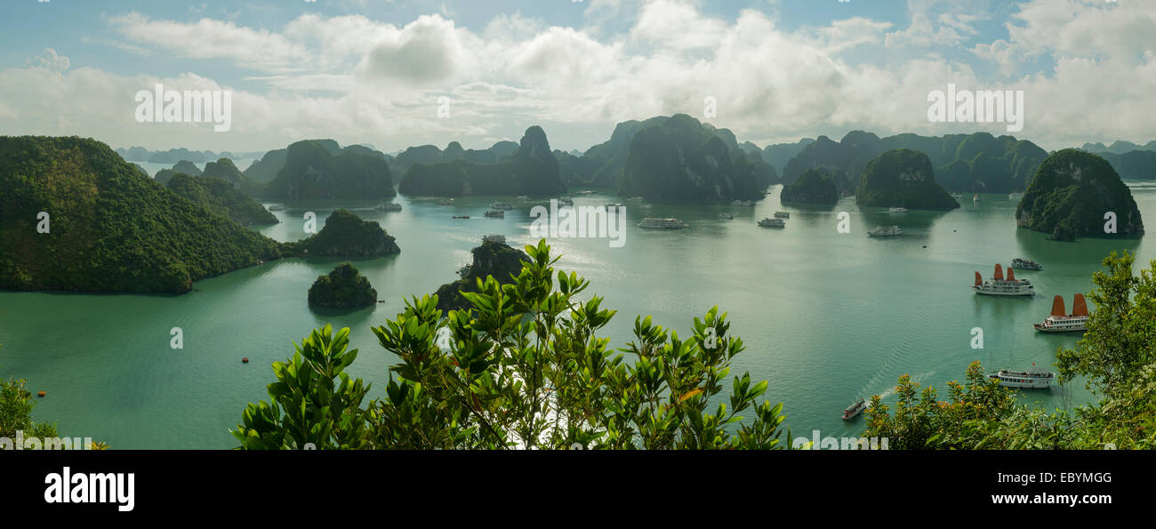 Baia di Halong panorama dalla cima Ti Isola, Vietnam Foto Stock
