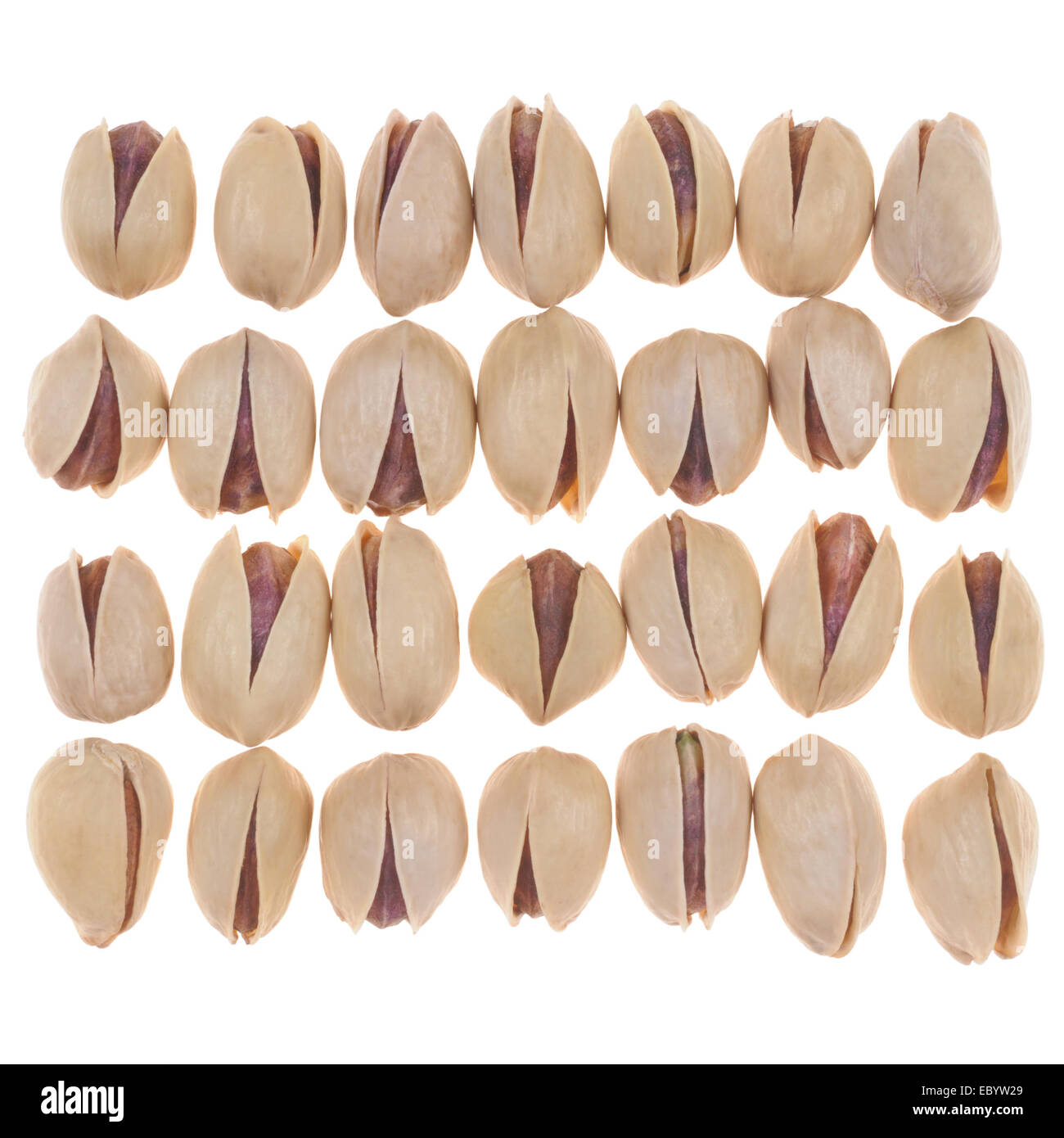 Molti i pistacchi collocati in ordine su sfondo bianco Foto Stock