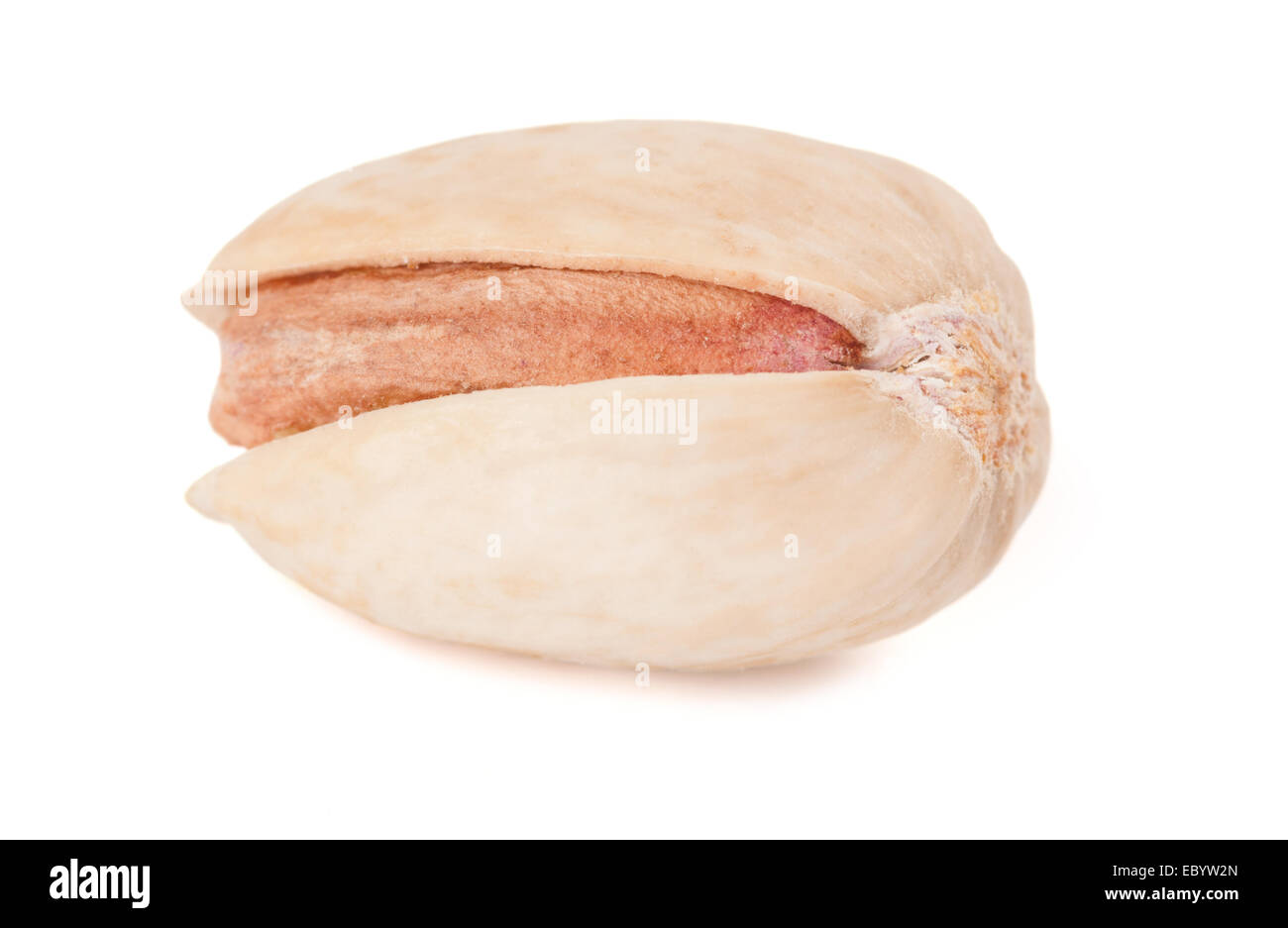 Un pistacchio isolati su sfondo bianco Foto Stock