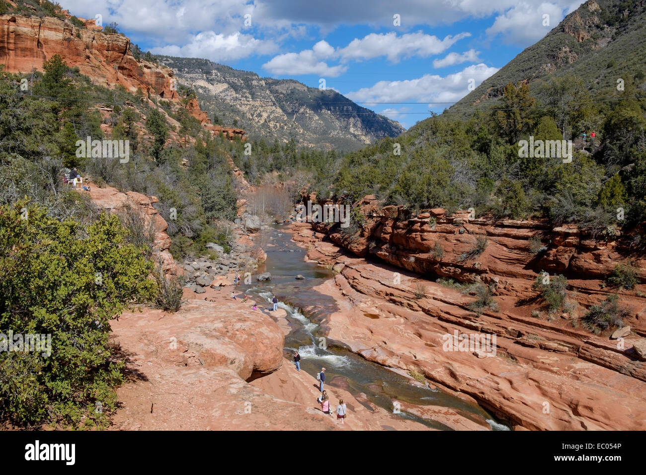 Il fiume che scorre attraverso la Slide Rock State Park, Oak Creek Canyon, Arizona, Stati Uniti. Foto Stock