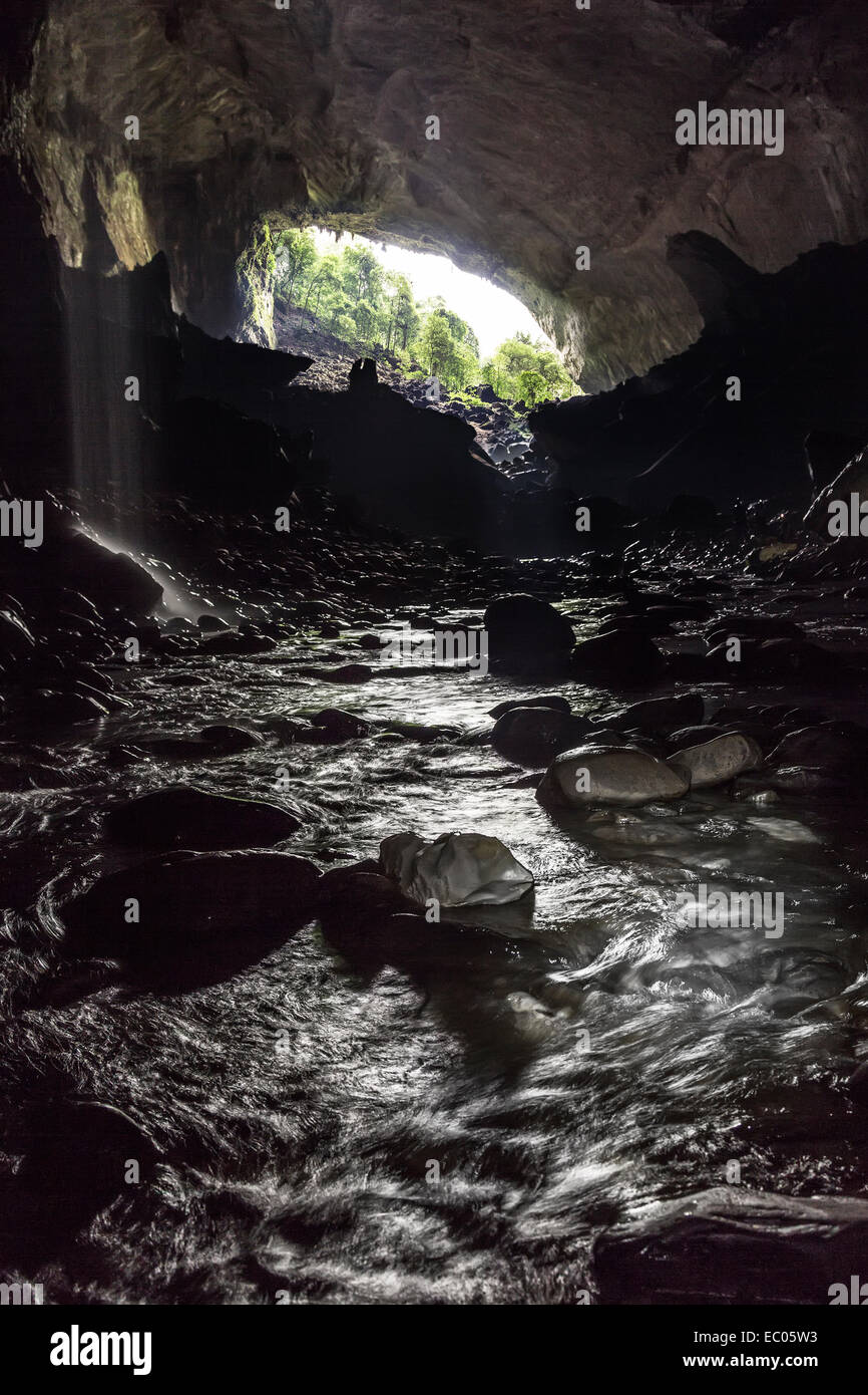 Caverna dei cervi con fiume sotterraneo che guarda al Giardino di Eden, Mulu, Malesia Foto Stock