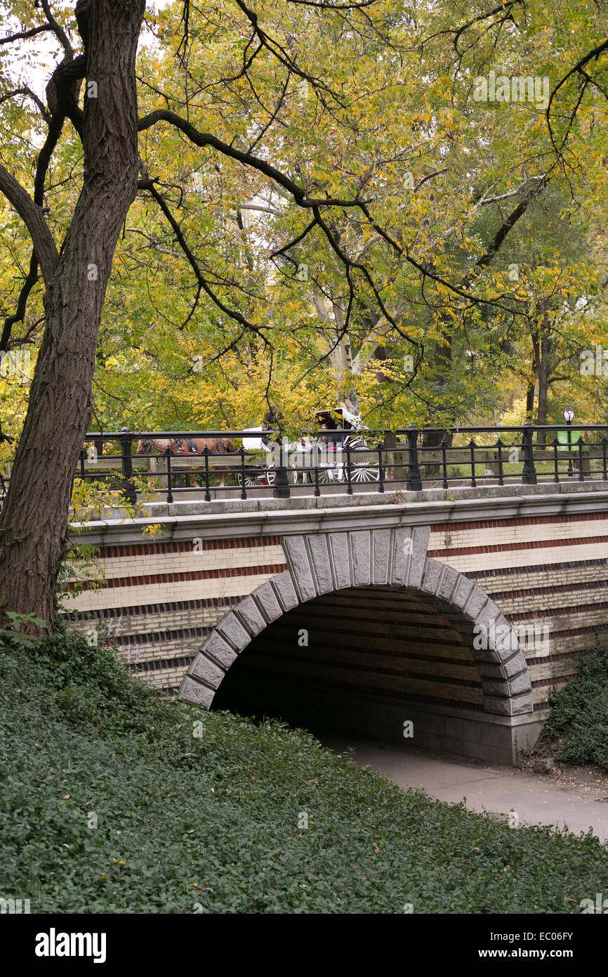 Ponte e sottopassaggio a Central Park di New York City. Foto Stock