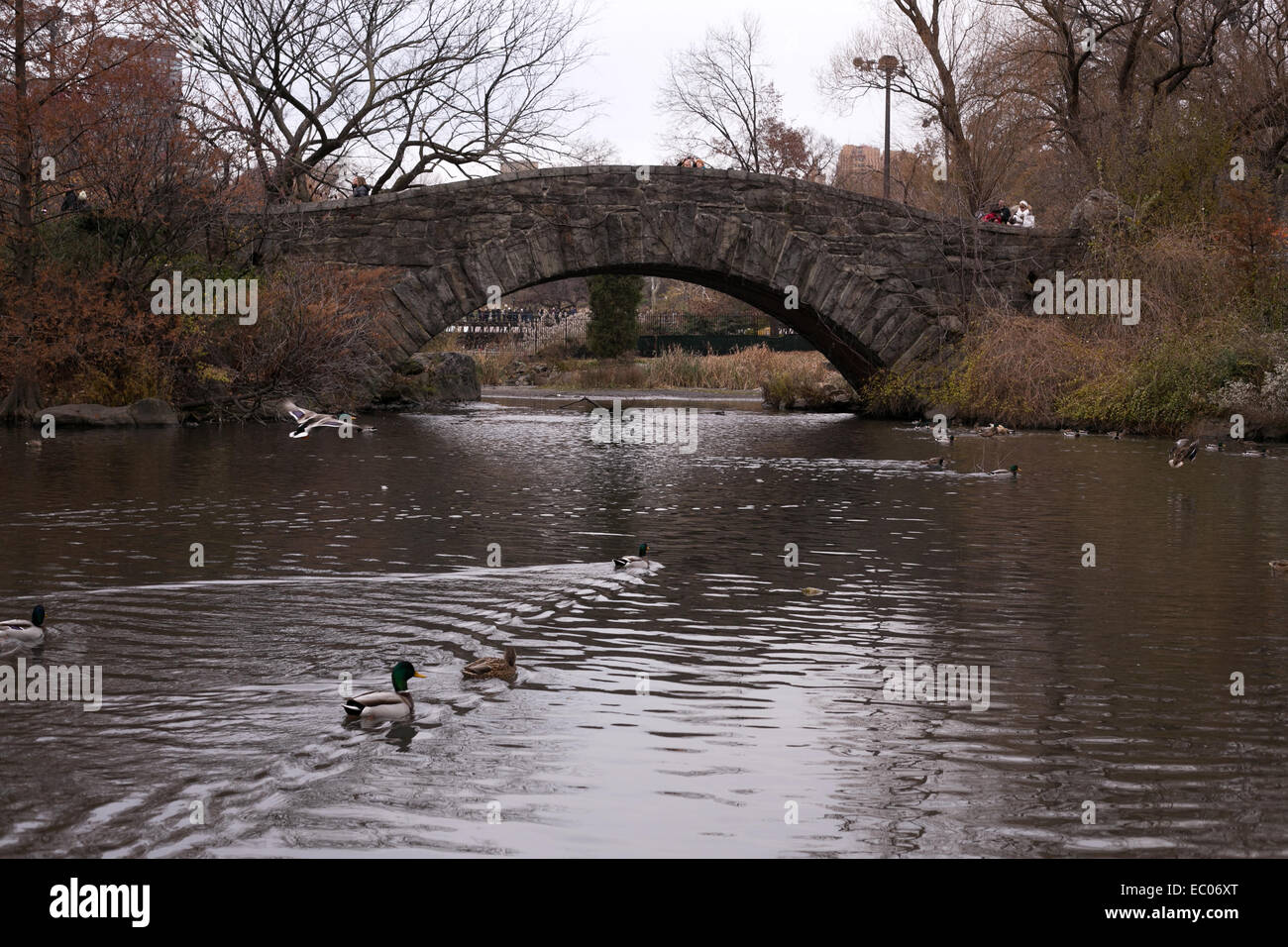 Gapstow Bridge nel Central Park di New York City. Foto Stock