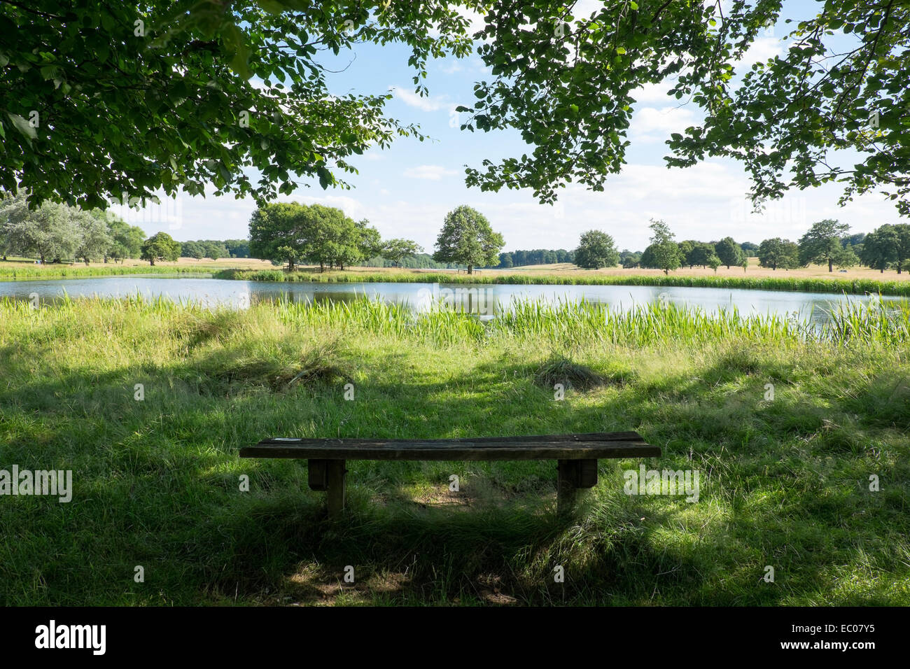 Una panca di legno accanto a un lago in un parco. Foto Stock