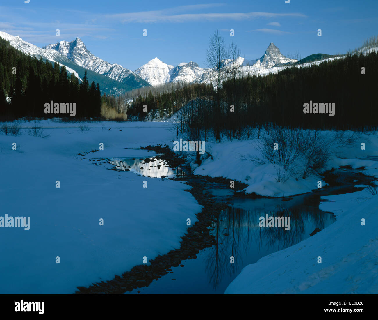 Snowy forche centrale fiume Flathead con picchi soleggiato del Glacier National Park in background. Montana Foto Stock