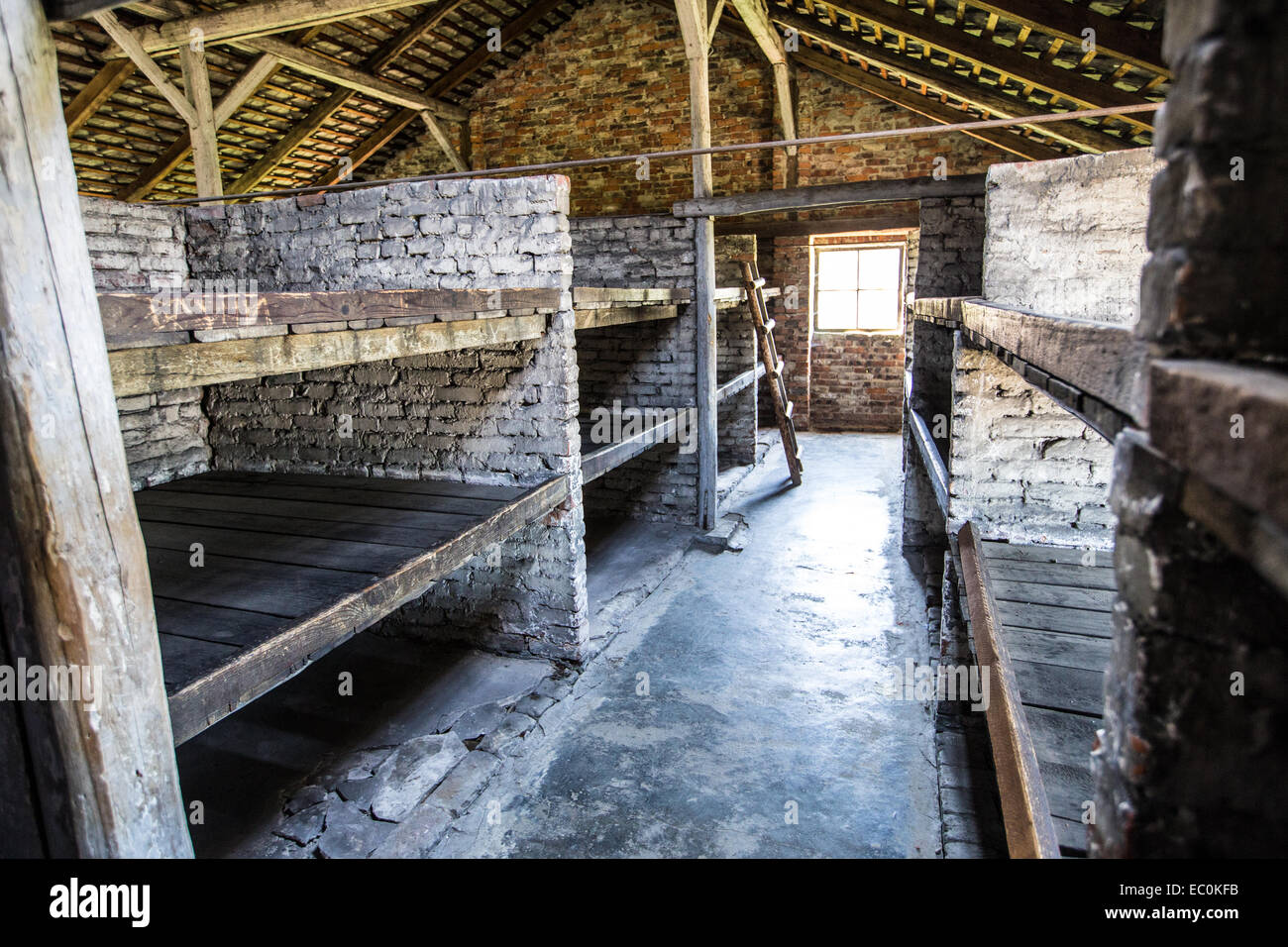 Prigioniero di cuccette in Auschwitz Birkenau Campo di Concentramento, Polonia Foto Stock