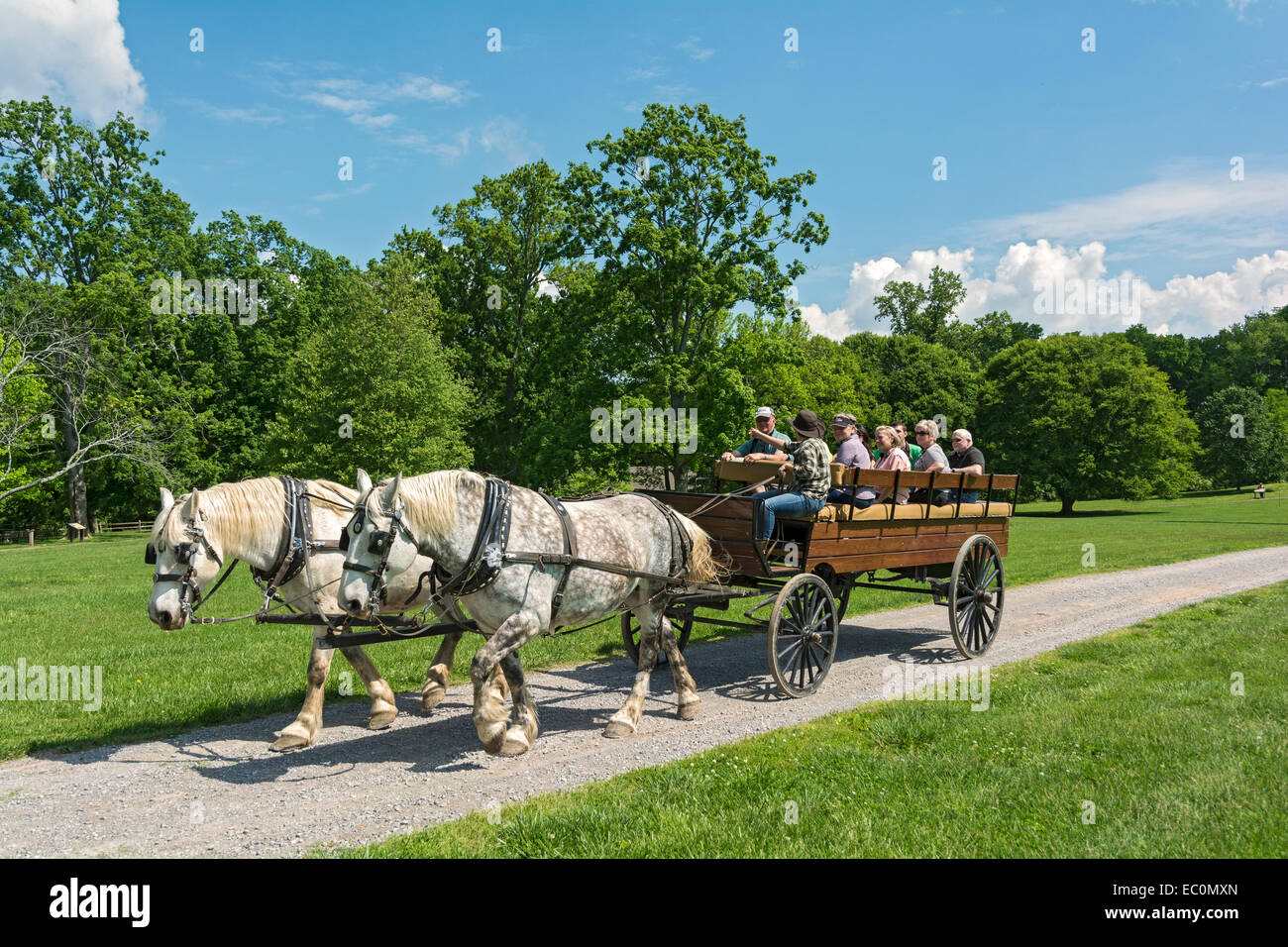 Tennessee, Nashville, l'eremo, piantagione di U.S. Presidente Andrew Jackson, cavallo tour carro Foto Stock