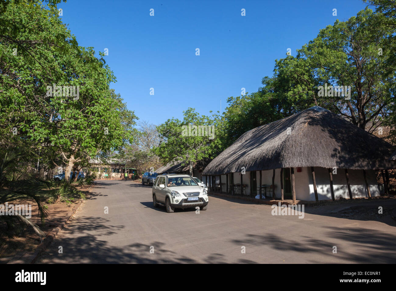 Punda Maria rest camp, Kruger National Park, Sud Africa Foto Stock