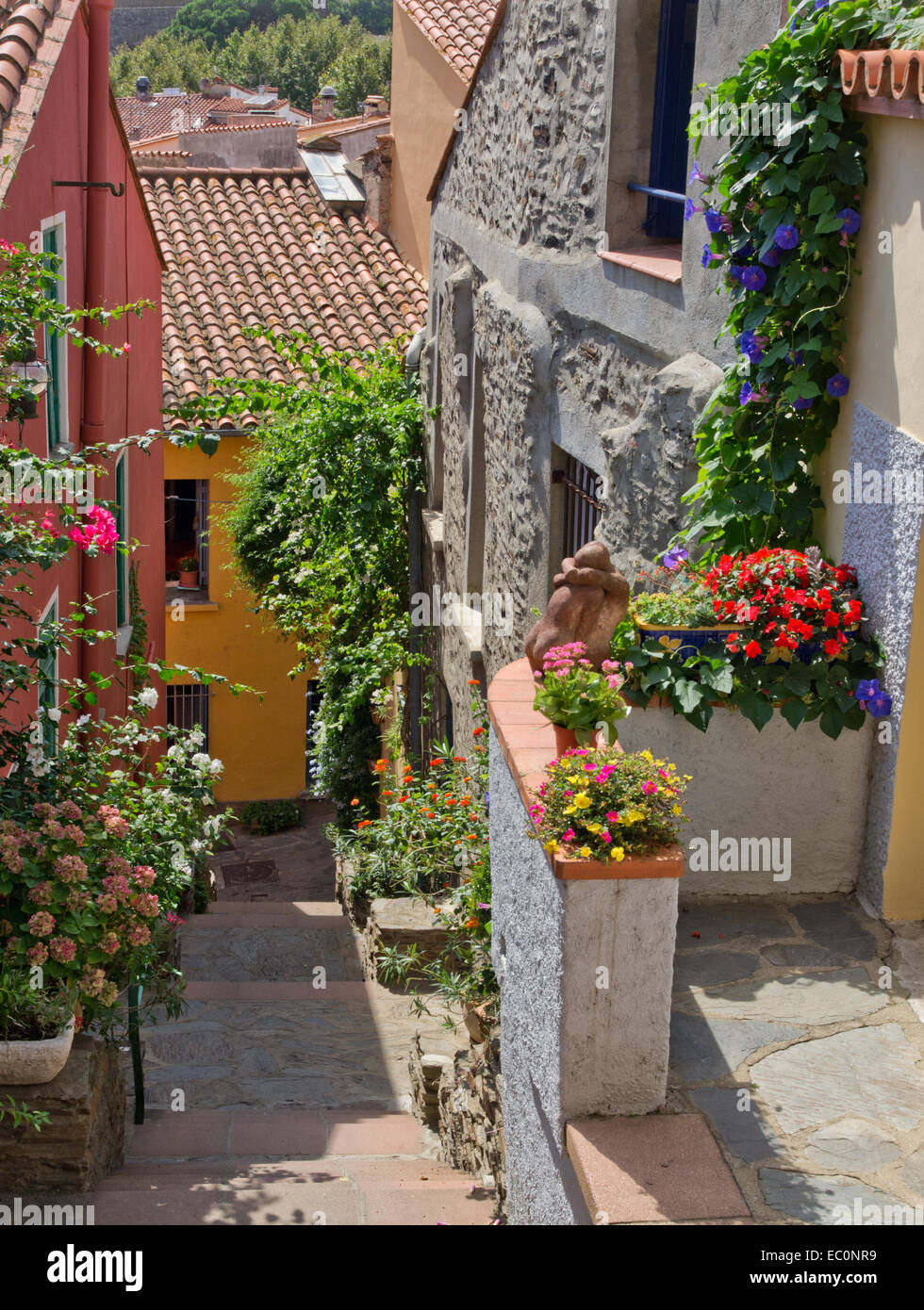 Collioure old town Foto Stock