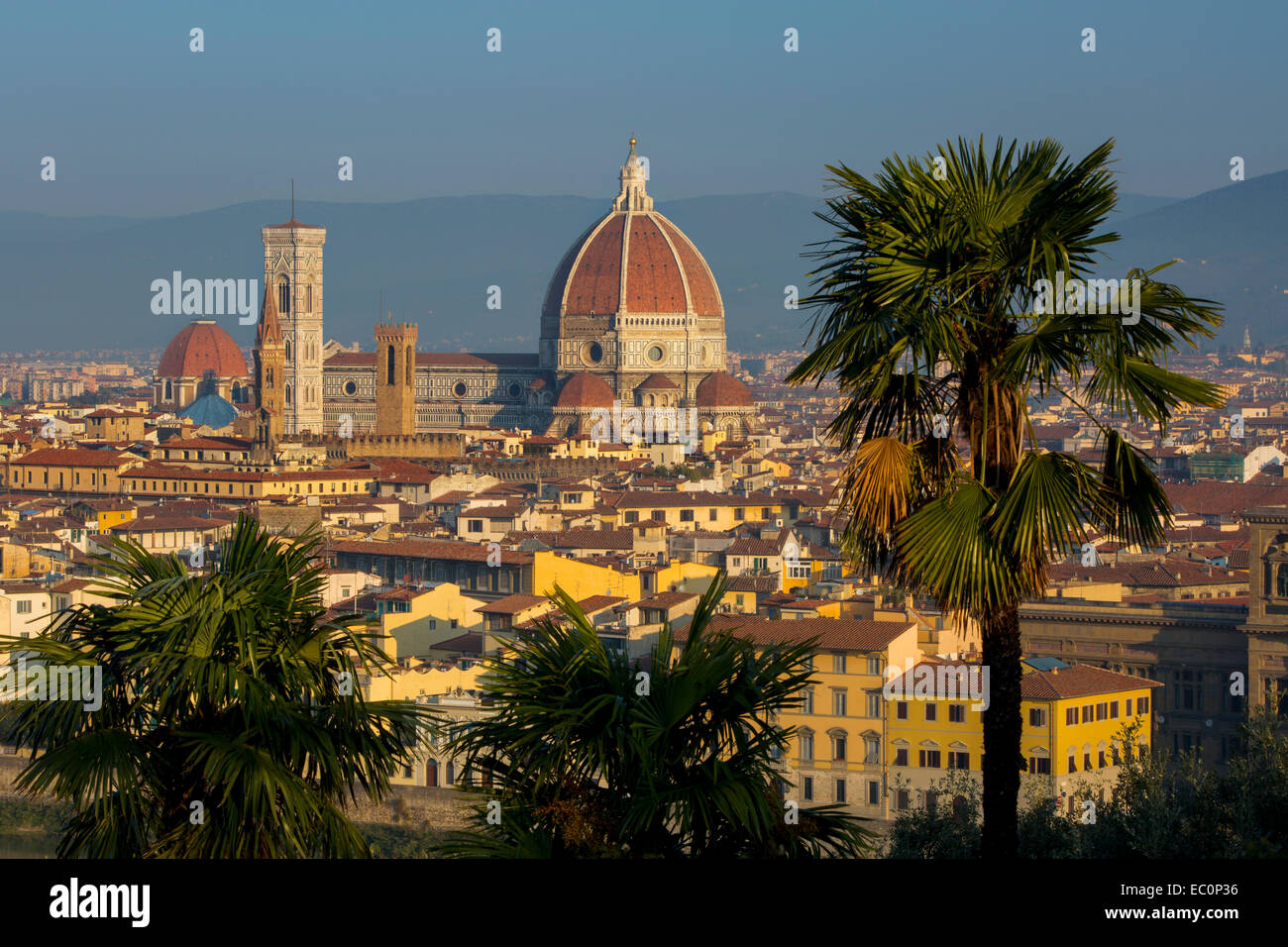 La mattina presto sul Duomo di Firenze, Toscana, Italia Foto Stock