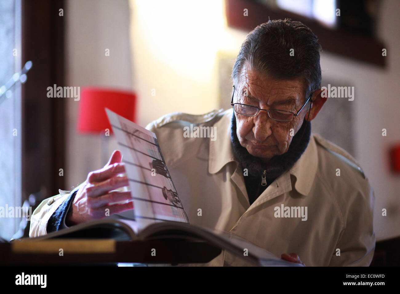 Ritratto di un italiano senior citizen seduto in un bar di vino, essendo assorbita in un libro di fotografia. Spilimbergo, Italia Foto Stock