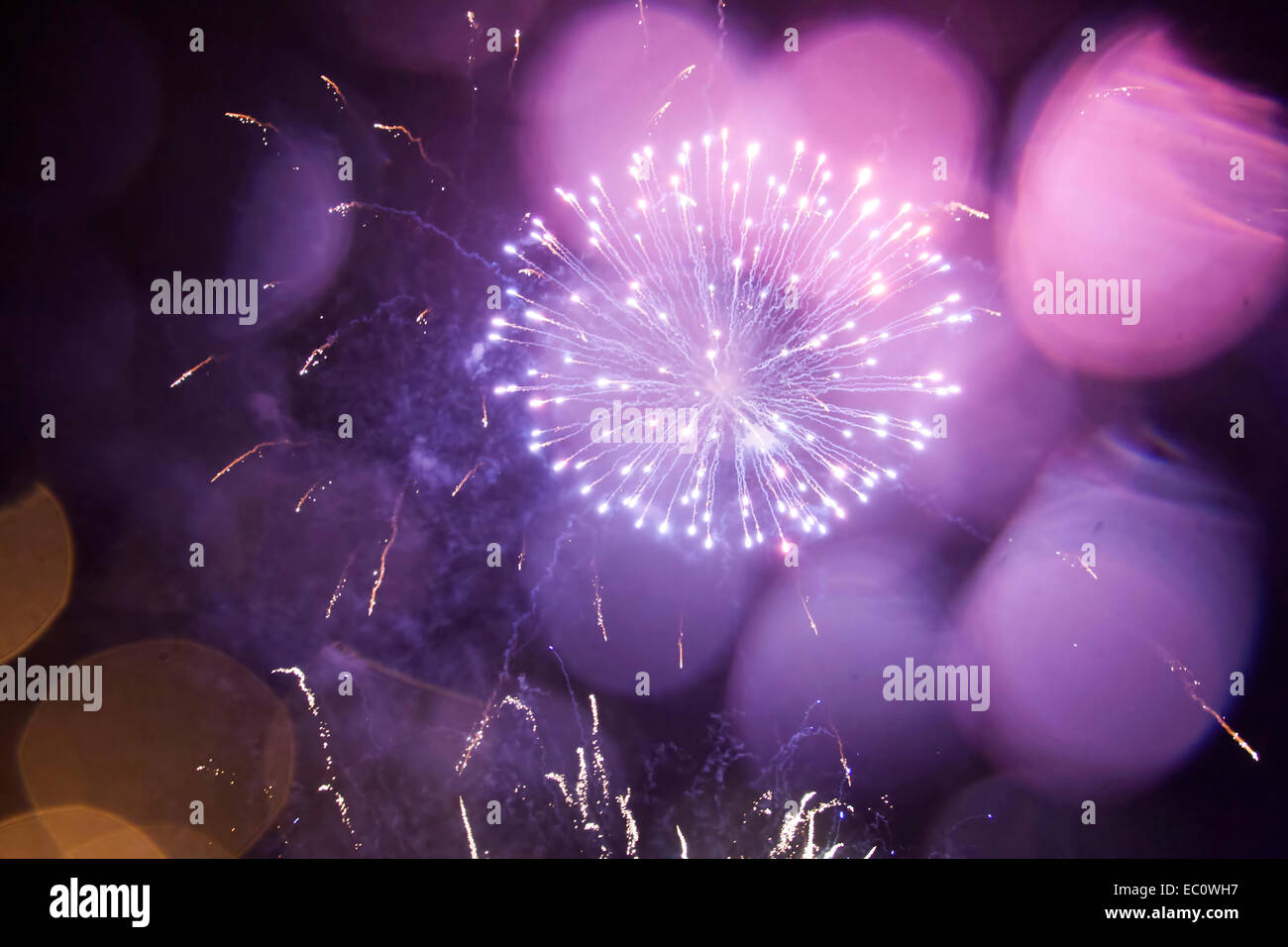 Fuochi d'artificio del cielo notturno Foto Stock