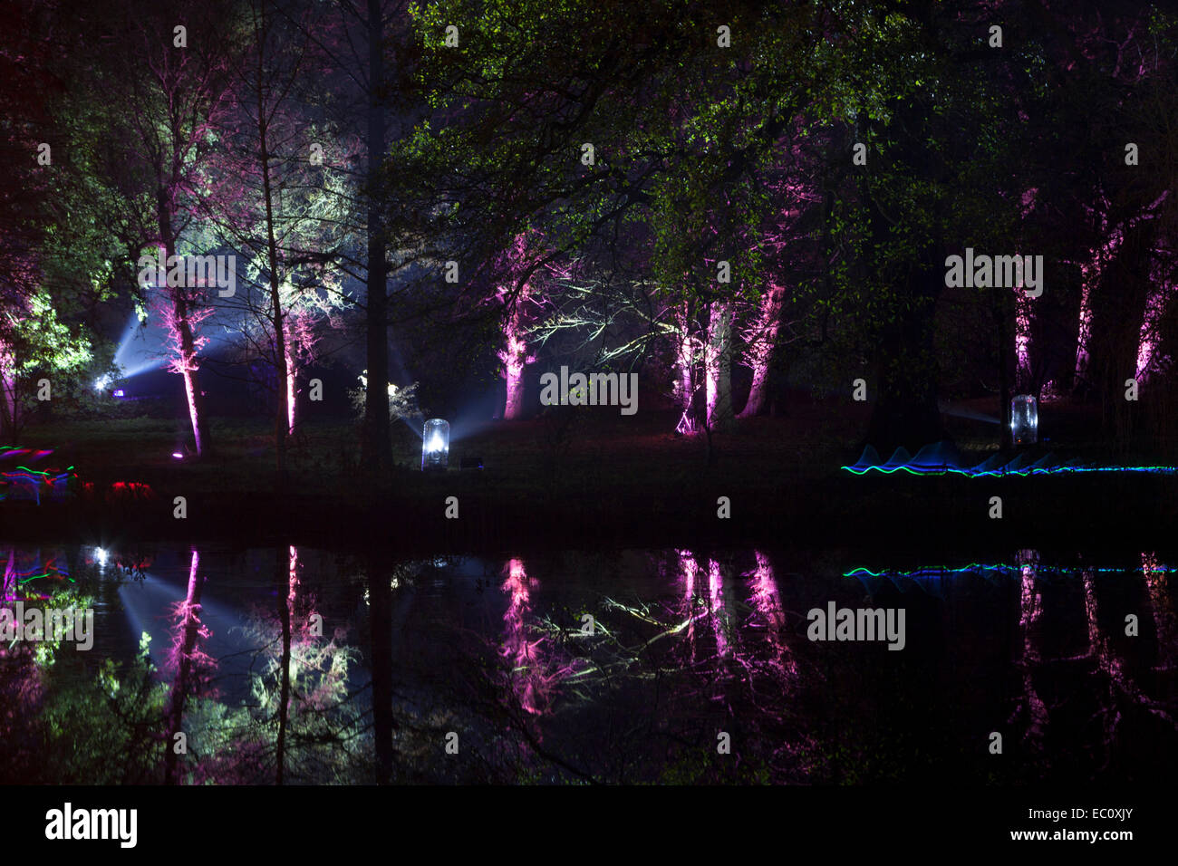 Bosco Incantato - tempo di notte le illuminazioni del parco, lago e alberi a Syon Park a Brentford, Londra Foto Stock