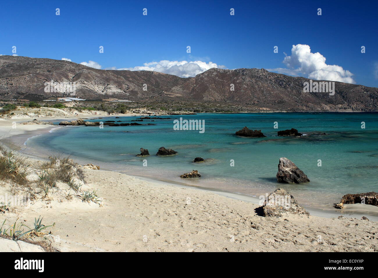 Sabbia Rosa Beach - Elafonissi, Creta Foto Stock
