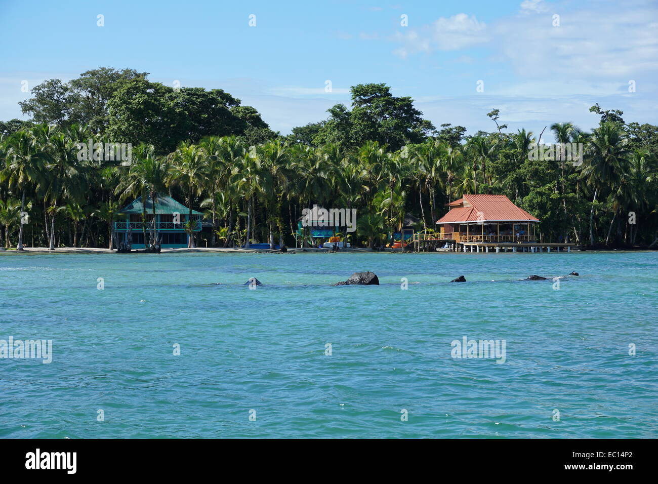 Casa sul lungomare e il ristorante sulla spiaggia di Isola di Carenero, Caraibi, Bocas del Toro, Panama America centrale Foto Stock