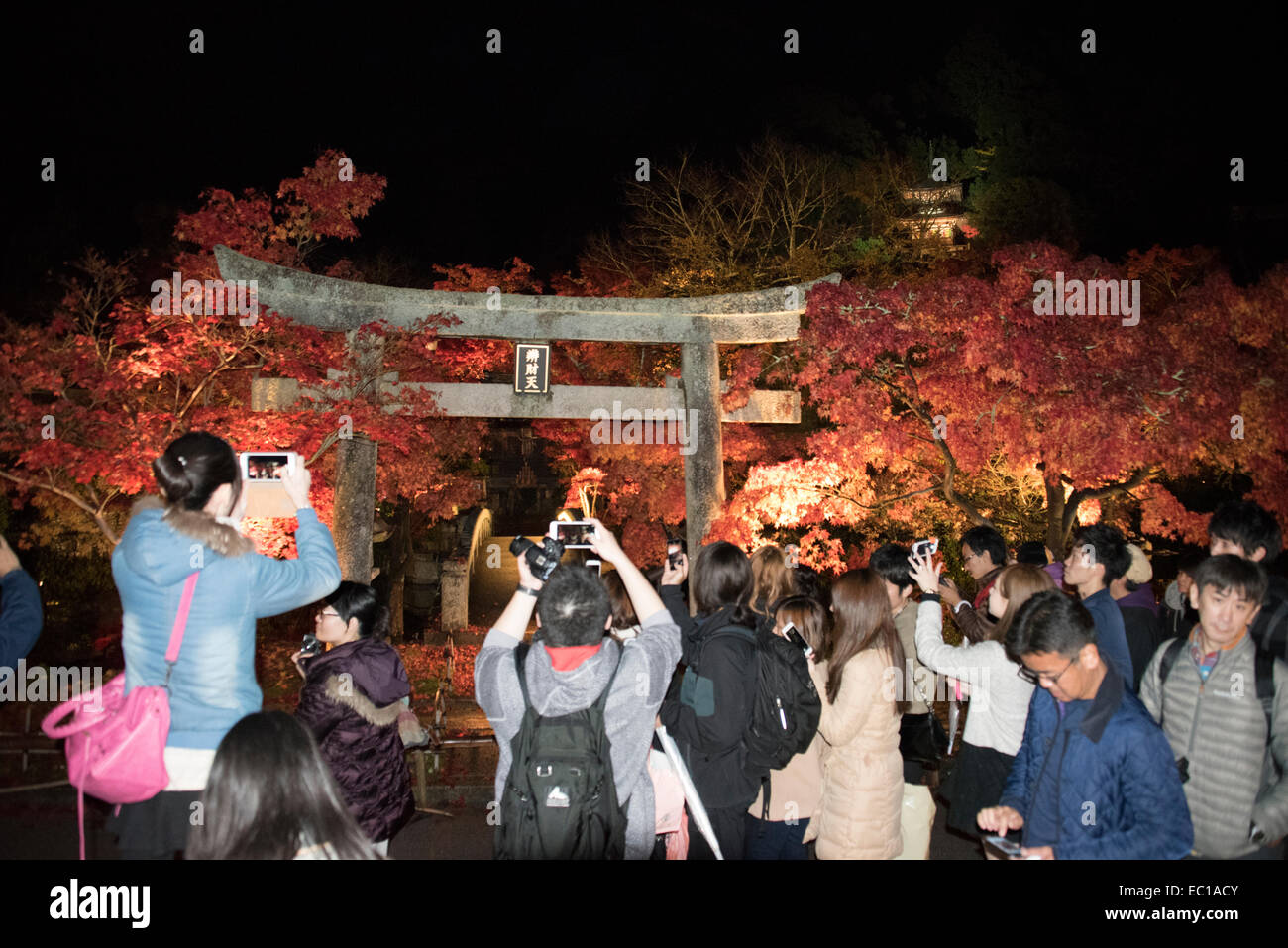 I turisti fotografare gli illuminati foglie autunnali a Kyoto, in Giappone. Foto Stock