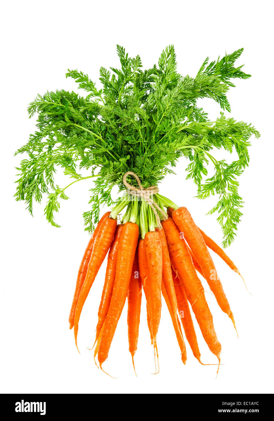 Le carote fresche con foglie verdi isolati su sfondo bianco. Vegetali. Il cibo Foto Stock
