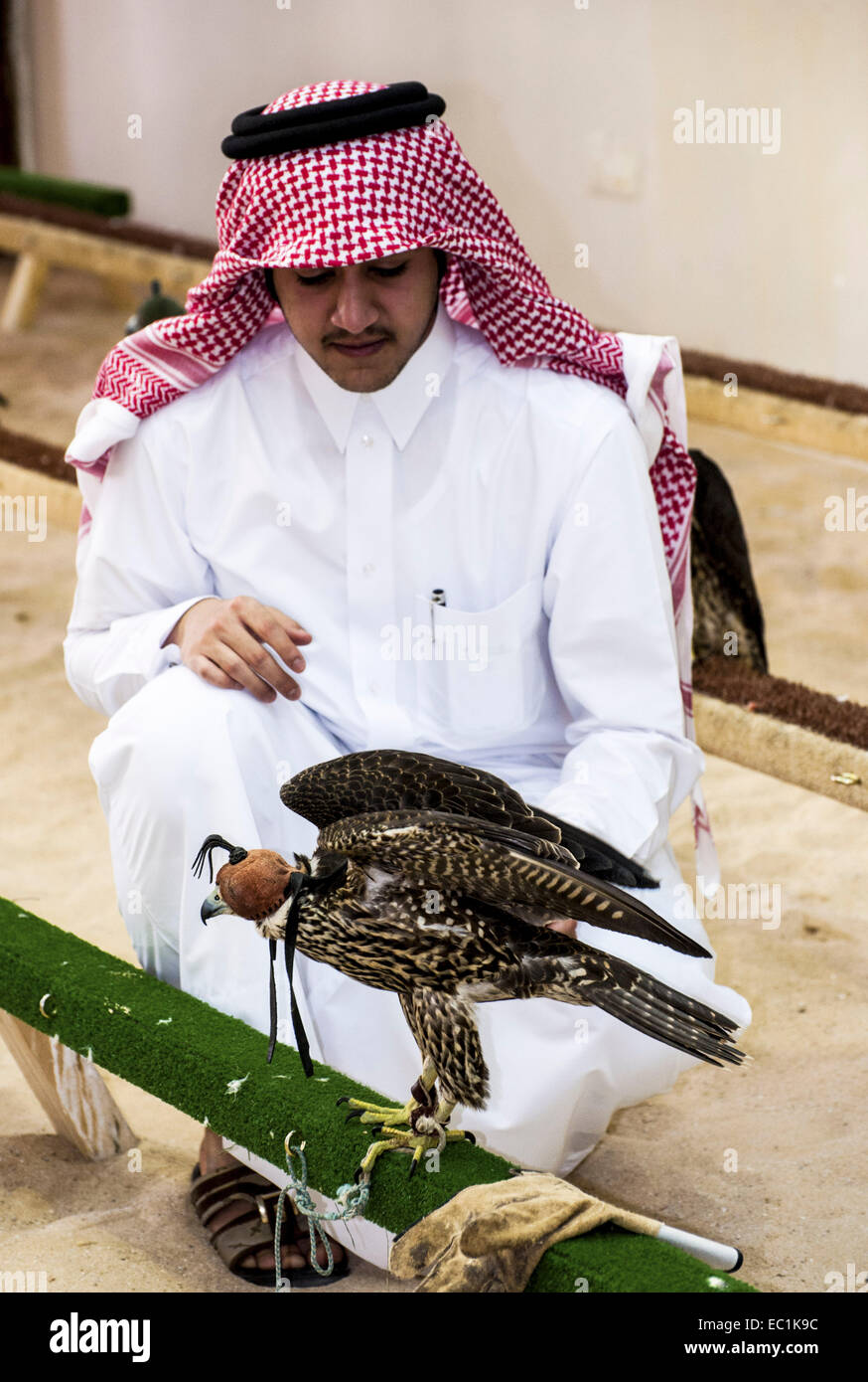Arab esaminando falcon nella città di Doha shop. Il Falcon è uccello nazionale degli Emirati arabi uniti, Qatar, Arabia Saudita e Oman, un simbolo di status per royal famiglie arabe. La Falconeria è un sport preferito nella Penisola Arabica, mantenendo il patrimonio del deserto. Il prezzo dei falchi sul mercato Qatar è salito a più di US$275k, bouoyed da un aumento della domanda interna sul retro di un recente festival. Foto Stock