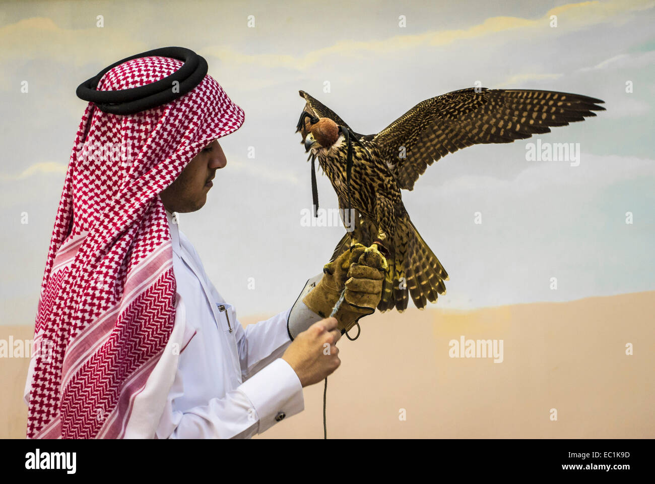 Arab esaminando falcon nella città di Doha shop. Il Falcon è uccello nazionale degli Emirati arabi uniti, Qatar, Arabia Saudita e Oman, un simbolo di status per royal famiglie arabe. La Falconeria è un sport preferito nella Penisola Arabica, mantenendo il patrimonio del deserto. Il prezzo dei falchi sul mercato Qatar è salito a più di US$275k, bouoyed da un aumento della domanda interna sul retro di un recente festival. Foto Stock