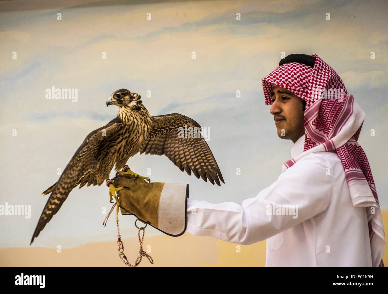 Arab esaminando falcon nella città di Doha shop. Il Falcon è uccello nazionale degli Emirati arabi uniti, Qatar, Arabia Saudita e Oman, un simbolo di status per royal famiglie arabe. La Falconeria è un sport preferito nella Penisola Arabica, mantenendo il patrimonio del deserto. Il prezzo dei falchi sul mercato Qatar è salito a più di US$275k, bouoyed da un aumento della domanda interna sul retro di un recente festival. Foto Stock