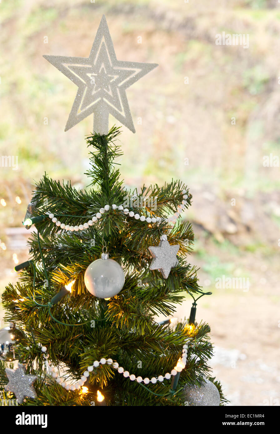 Un albero di Natale con Stella e sfondo non focalizzato Foto Stock
