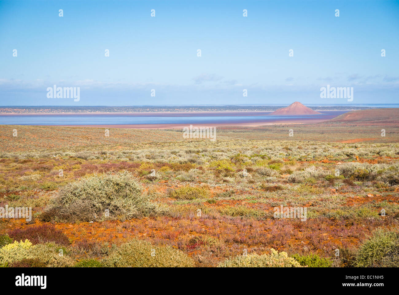 Outback paesaggio di chenopod arbusteti e Salt Lake, Sud Australia Foto Stock