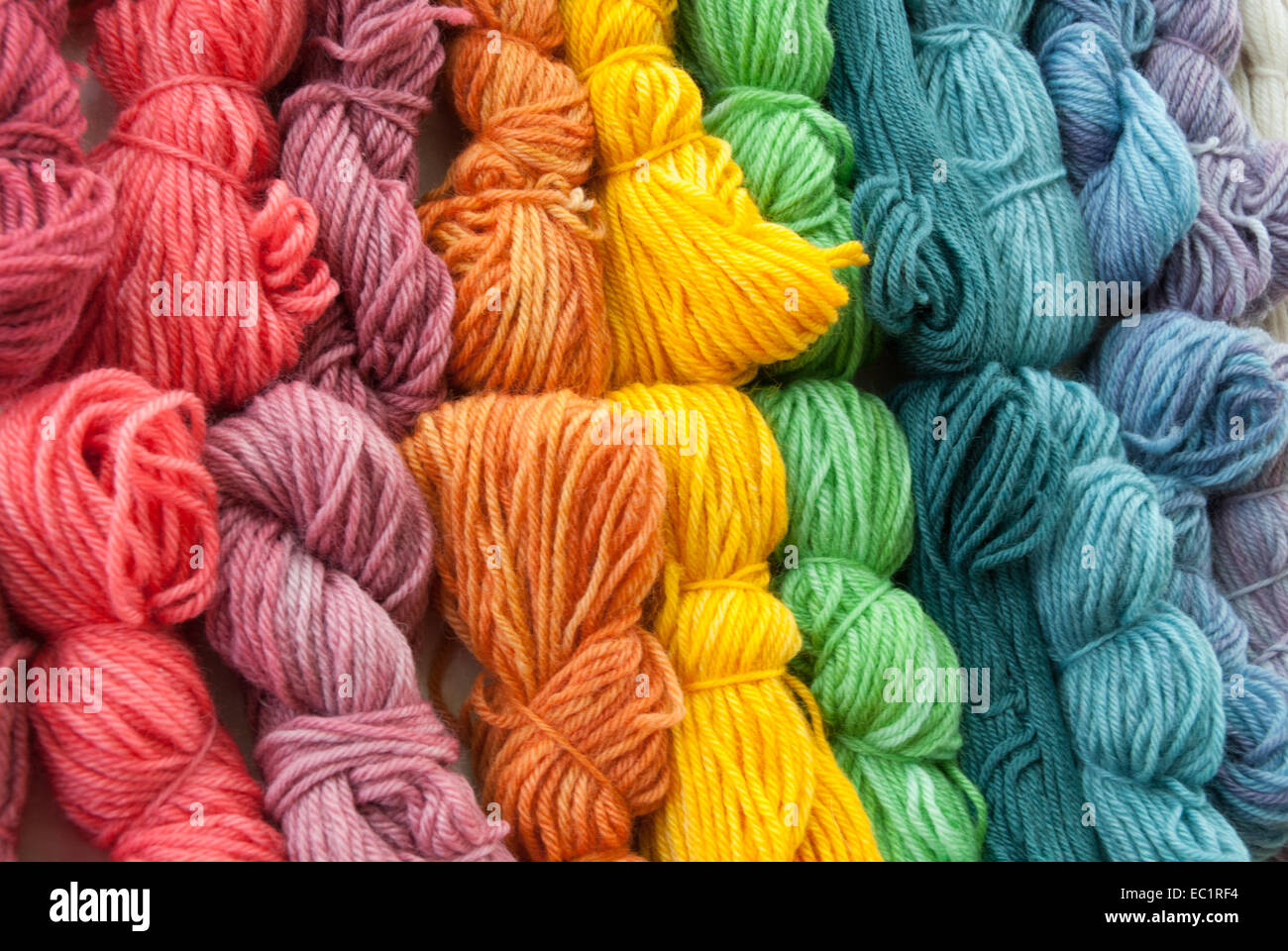Assortimento di coloratissimi mano-tinto filati di lana. Foto Stock