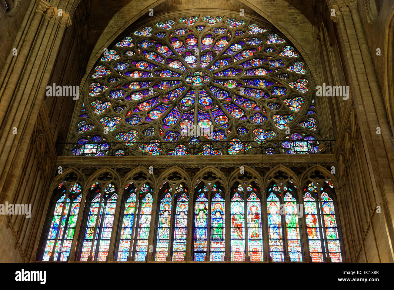 Rosone, vetrata, Notre Dame de Paris cathedral, Ille de la Cité, 4th Arrondissement, Parigi, Francia Foto Stock