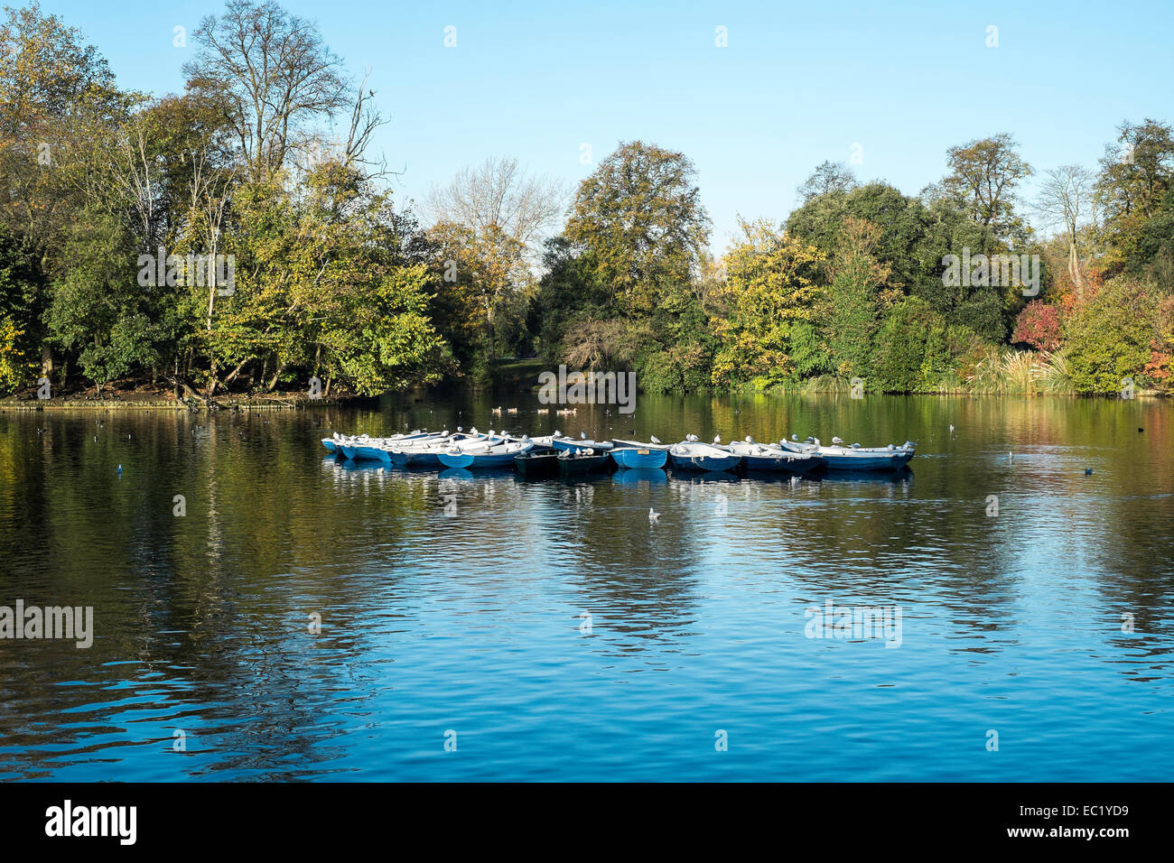 Piuttosto scenic in barca sul lago del parco di stagno barche London Victoria Park Hackney Foto Stock