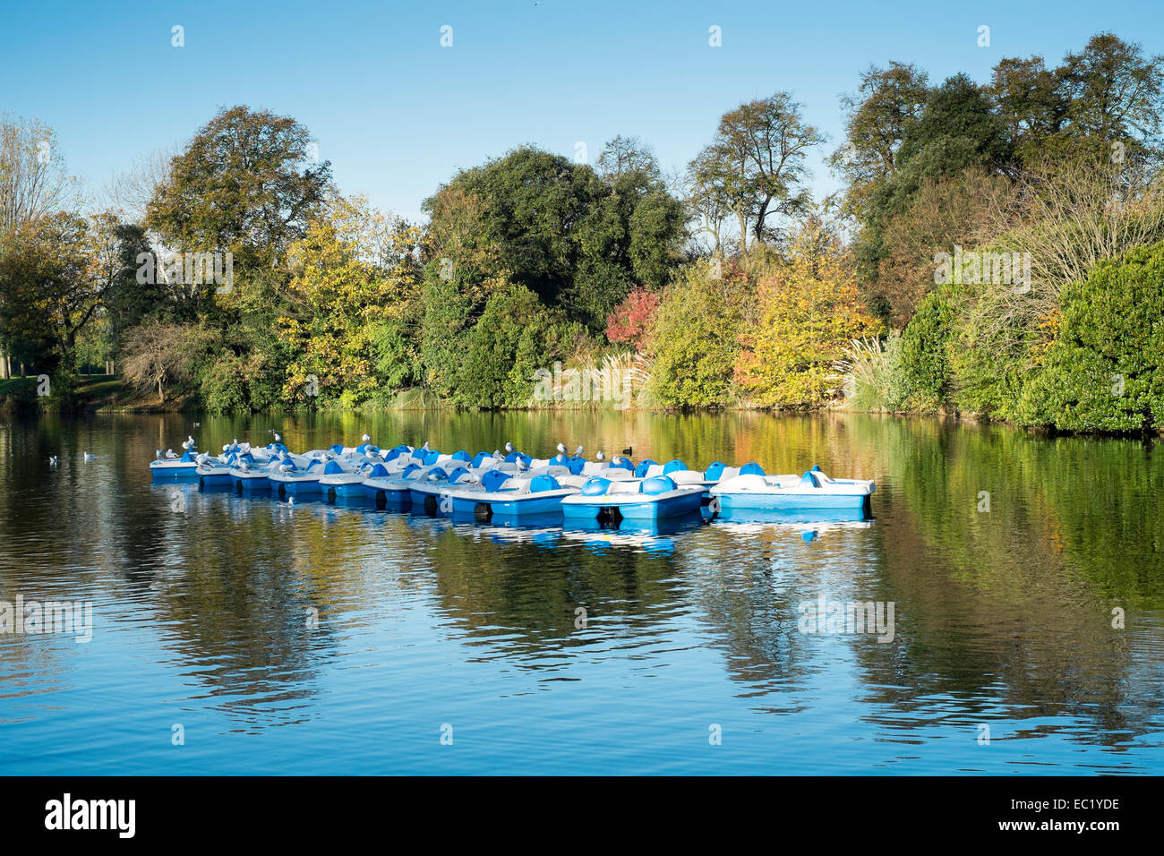 Londra REGNO UNITO in barca il lago di stagno scenic Foto Stock
