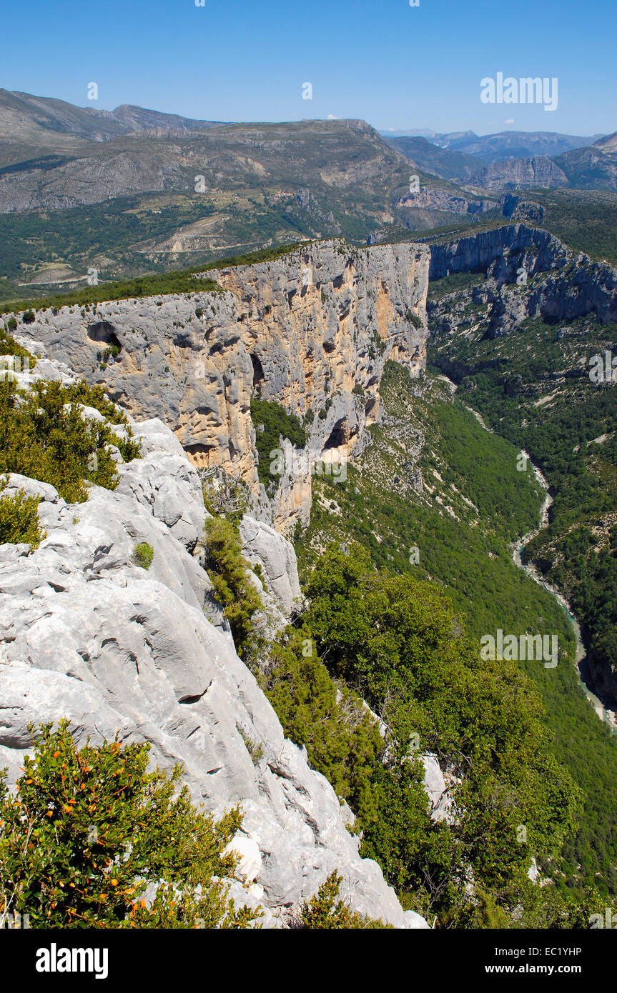 Il canyon del fiume Verdon, Verdon Parco Naturale Regionale, Provenza, Gorges du Verdon, Provence-Alpes-Côte-d'Azur, in Francia, in Europa Foto Stock