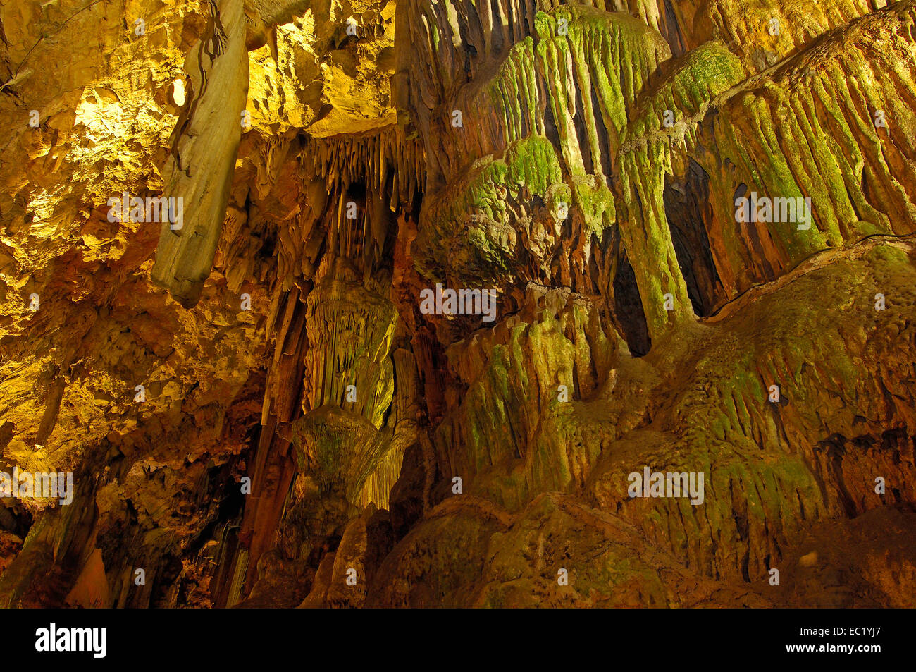 St Michael's Cave, Gibilterra, British territorio di oltremare, Europa Foto Stock