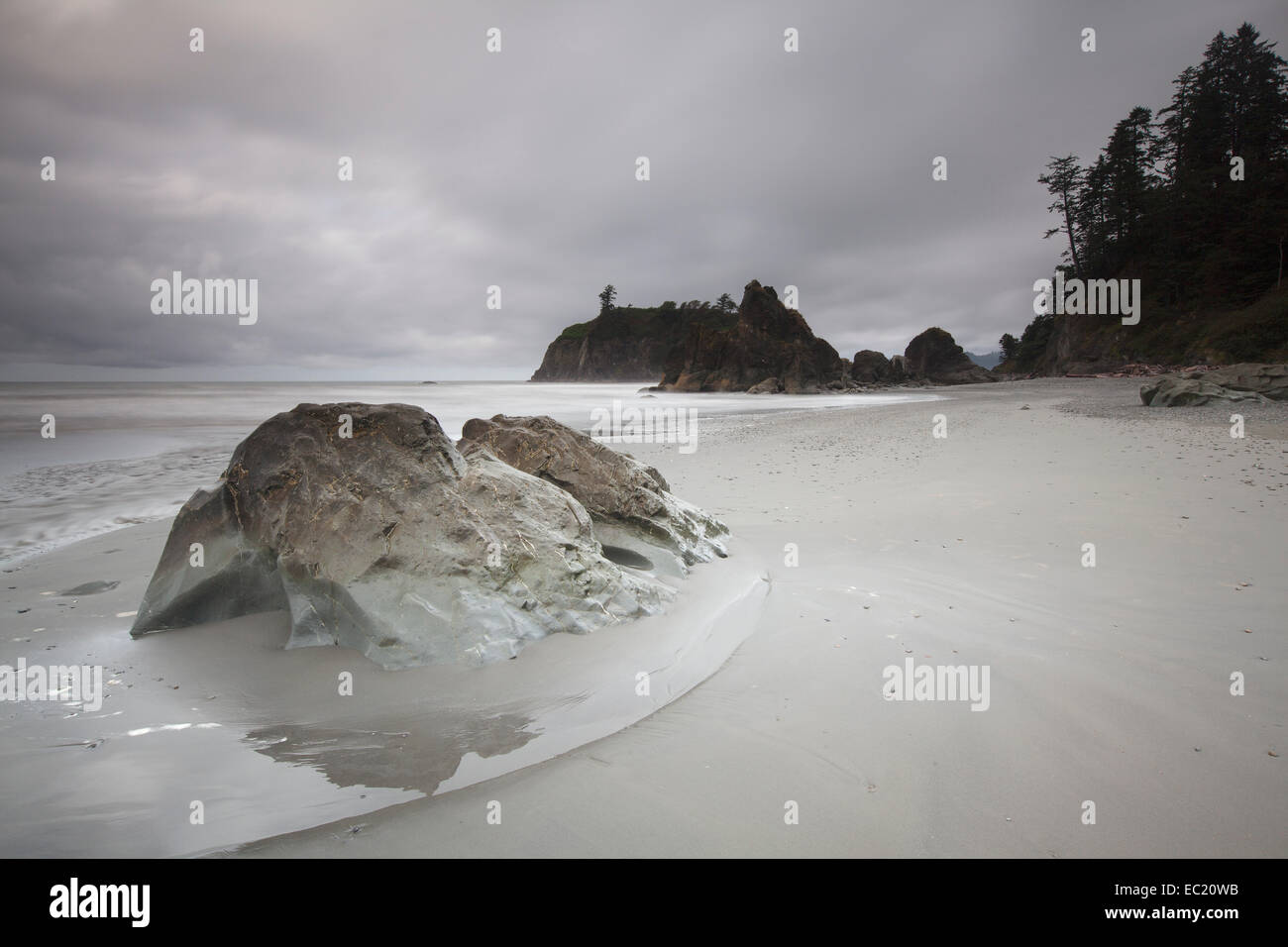 Ruby beach, forche, il parco nazionale di Olympic, Washington, Stati Uniti Foto Stock