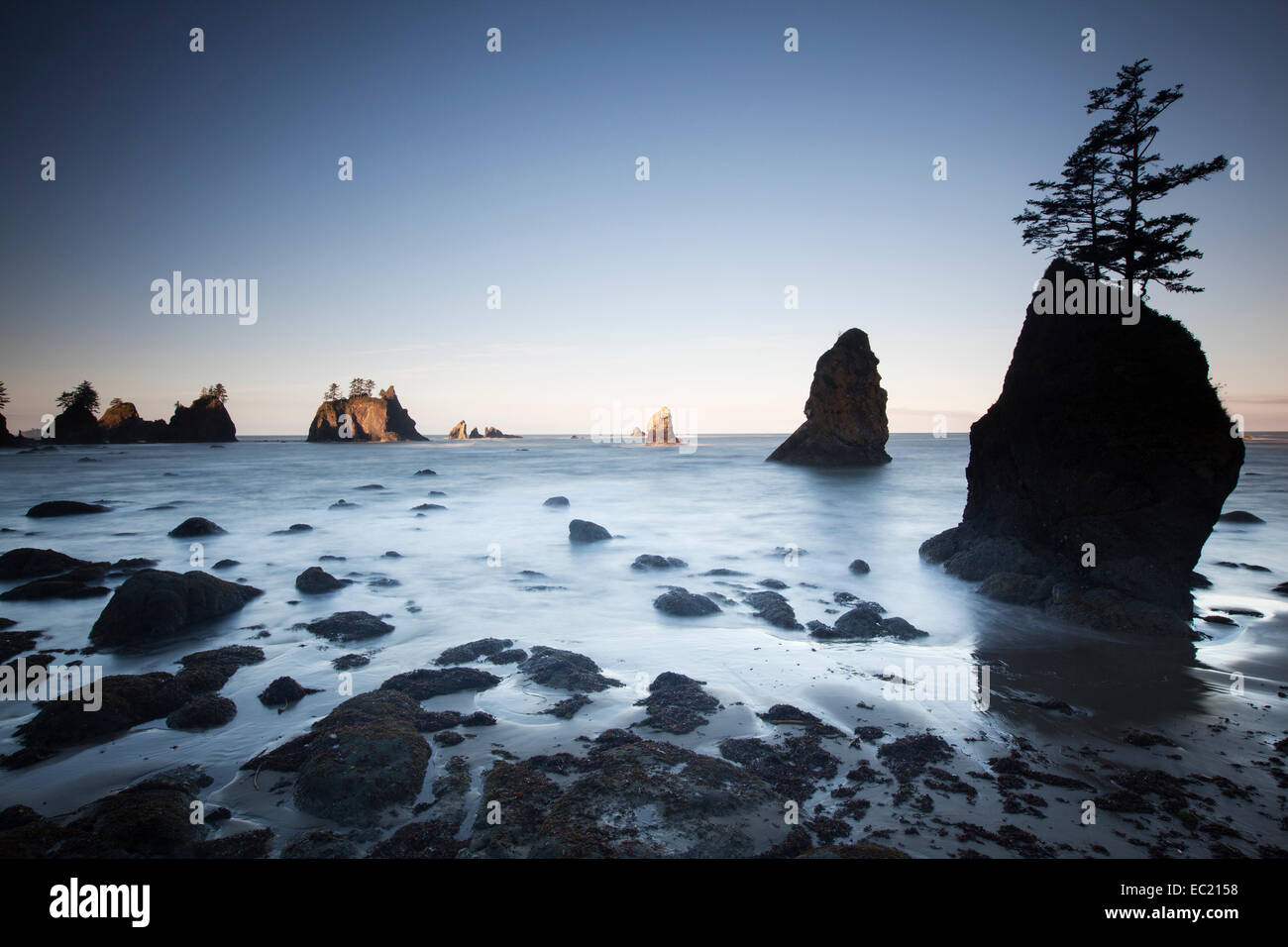 Shi shi beach nel parco nazionale di Olympic, forche, Washington, Stati Uniti Foto Stock