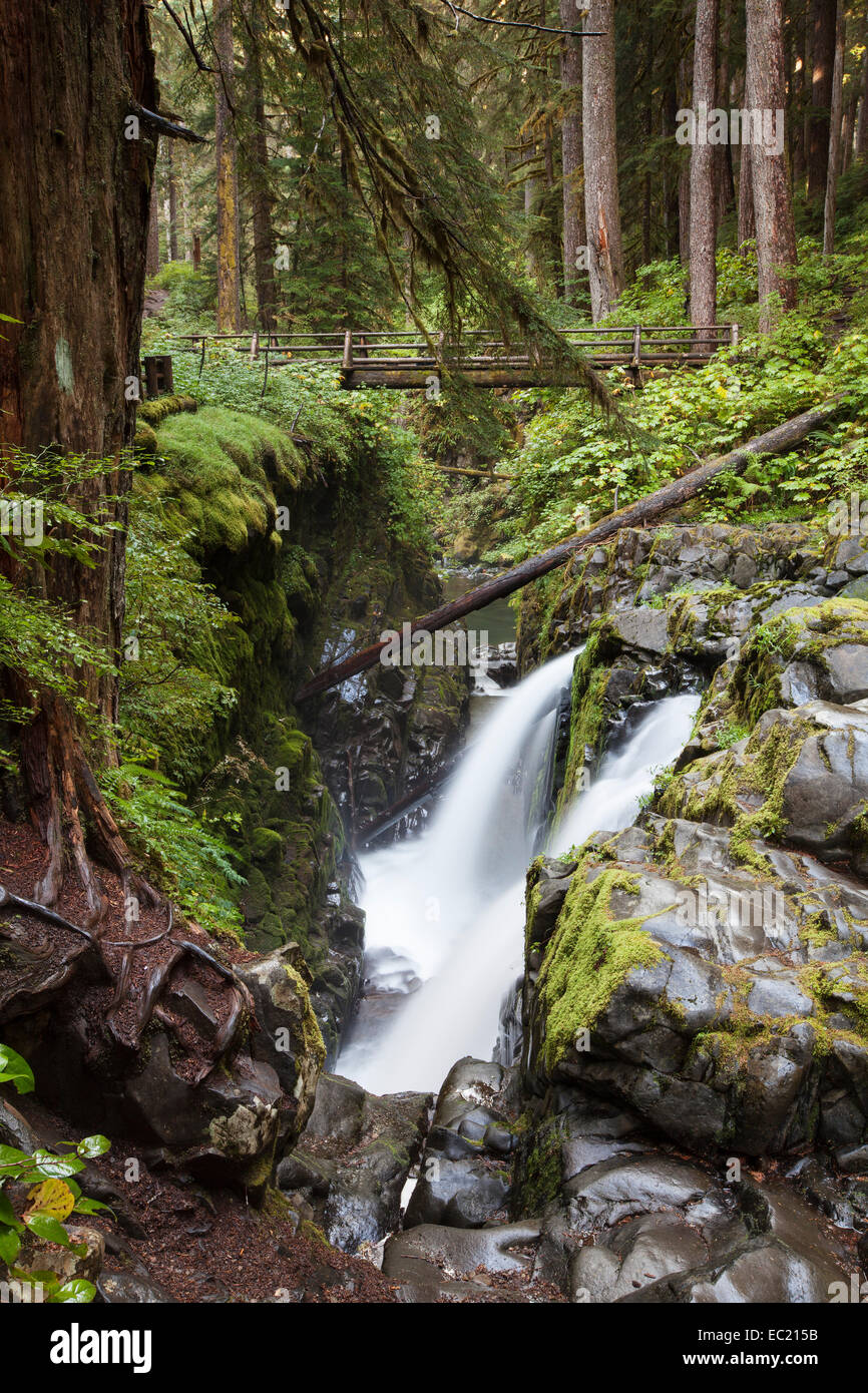 Sol duc cade nel sol duc River Valley, sol duc valle, Washington, Stati Uniti Foto Stock