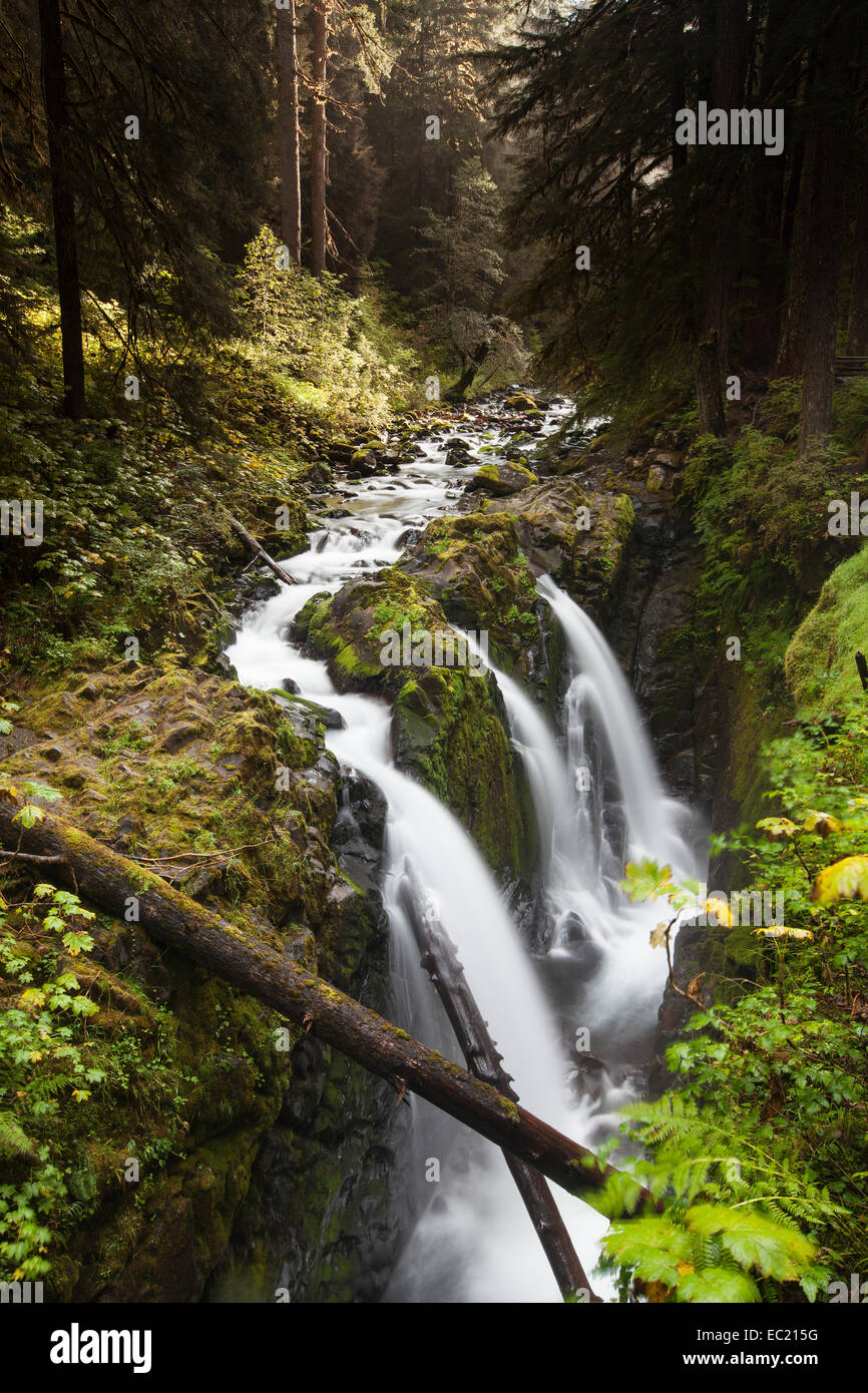 Sol duc cade nel sol duc River Valley, sol duc valle, Washington, Stati Uniti Foto Stock